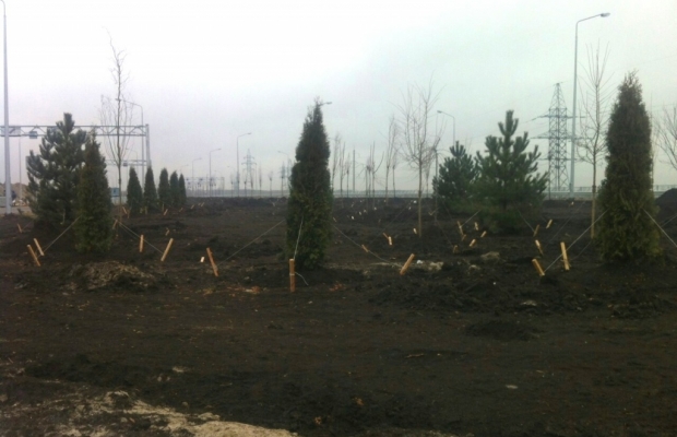 В районе стадиона "Ростов-Арена" будет высажено более 2000 деревьев